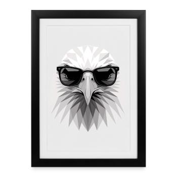 Aigle Pygargue à tête blanche Aigle royal Pygargue à queue blanche - Affiche encadrée (27 × 37 cm) - noir - Devant