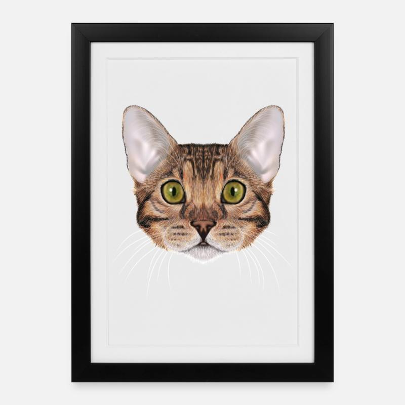 Chat du Bengale - Affiche encadrée (27 × 37 cm) - noir