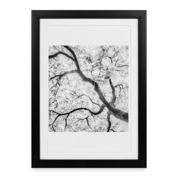 Monochrome Tree Branches Graphic - Framed poster (27 × 37 cm) - black - Front