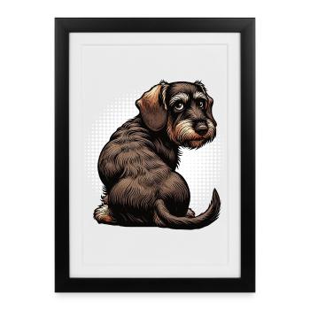 teckel teckel à poils durs propriétaire de teckel teckel - Affiche encadrée (27 × 37 cm) - noir - Devant