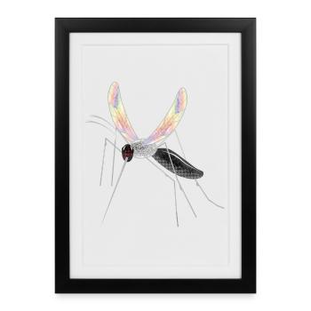 iridescent drawing of a mosquito mosquito - Framed poster (27 × 37 cm) - black - Front