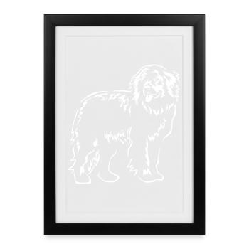 Newfoundland "Black Edition" - Framed poster (27 × 37 cm) - black - Front