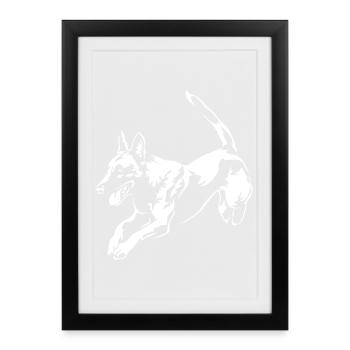 Malinois "Black Edition" - Framed poster (27 × 37 cm) - black - Front