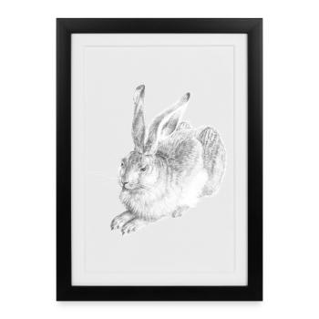 LAPIN BLANC | Lièvre des neiges d’après Albrecht Dürer - Affiche encadrée (27 × 37 cm) - noir - Devant