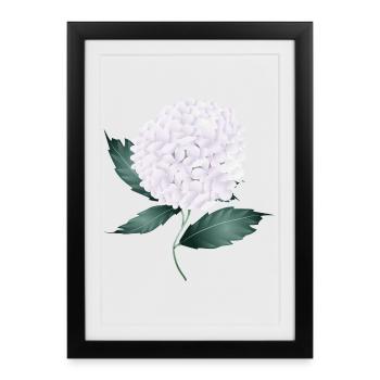 Fleur d’hortensia blanc – élégance et légèreté - Affiche encadrée (27 × 37 cm) - noir - Devant
