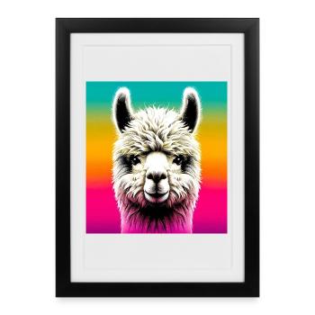 Alpaga - Affiche encadrée (27 × 37 cm) - noir - Devant