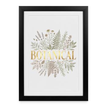 Botanique d’or - Affiche encadrée (27 × 37 cm) - noir - Devant