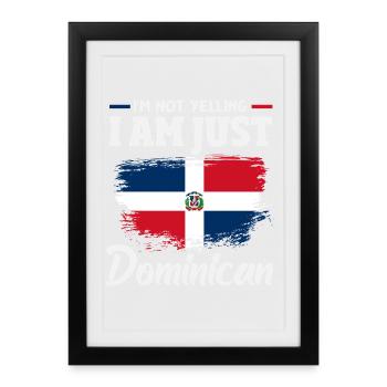 Drapeau de la République dominicaine Dom Rep Pride - Affiche encadrée (27 × 37 cm) - noir - Devant