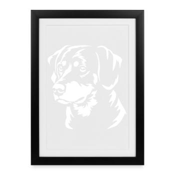 Tête de Smalandstövare « Édition Noire » - Affiche encadrée (27 × 37 cm) - noir - Devant