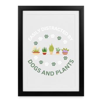 Facilement distrait par le cadeau des chiens et des plantes - Affiche encadrée (27 × 37 cm) - noir - Devant