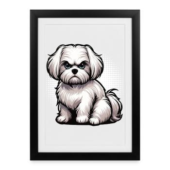 Malteser Maltese Owner Maltese Lovers - Framed poster (27 × 37 cm) - black - Front