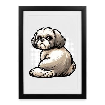 Shih tzu Shih tzu Shih tzu Shih tzu propriétaire de Shih tzu fan - Affiche encadrée (27 × 37 cm) - noir - Devant