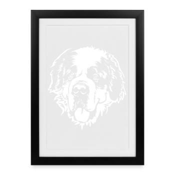 Tête de Bernard « BLack Edition » - Affiche encadrée (27 × 37 cm) - noir - Devant