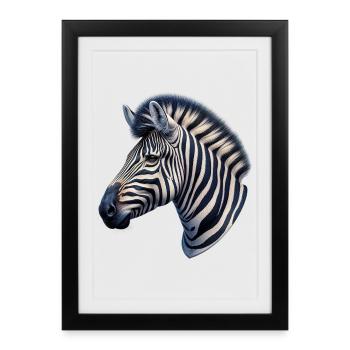 Zèbre - Affiche encadrée (27 × 37 cm) - noir - Devant