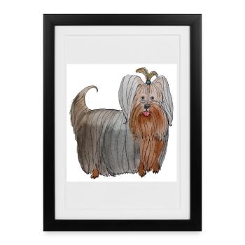 Yorkshire terrier Sticker - Framed poster (27 × 37 cm) - black - Front