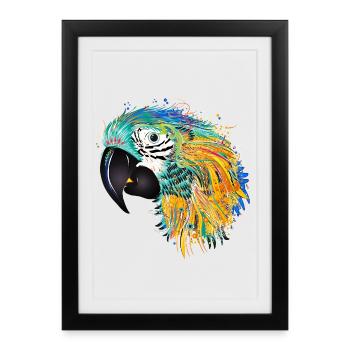 Perroquet coloré - Oeuvre d’art tropicale colorée - Affiche encadrée (27 × 37 cm) - noir - Devant