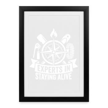 Experts pour la boussole de survie - Affiche encadrée (27 × 37 cm) - noir - Devant