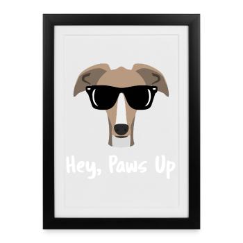 Salut Paws Up Greyhound Cool Dog Lunettes de soleil - Affiche encadrée (27 × 37 cm) - noir - Devant
