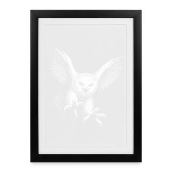 Snowy owl - Framed poster (27 × 37 cm) - black - Front