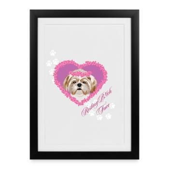 Visage de au repos Shih Tzu - Affiche encadrée (27 × 37 cm) - noir - Devant