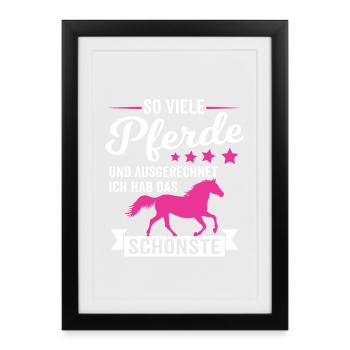 Chevaux cadeaux Fille Cheval Amatrice de chevaux - Affiche encadrée (27 × 37 cm) - noir - Devant