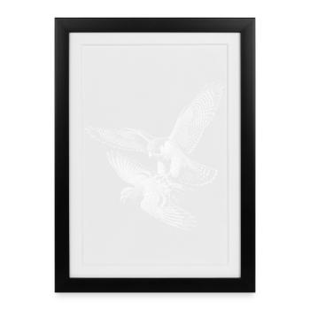 faucon pèlerin - Affiche encadrée (27 × 37 cm) - noir - Devant