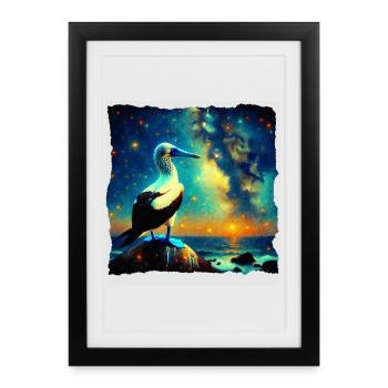 Seins aux pieds bleus Nuit étoilée - Affiche encadrée (27 × 37 cm) - noir - Devant