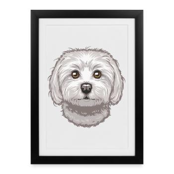 Maltese - Framed poster (27 × 37 cm) - black - Front