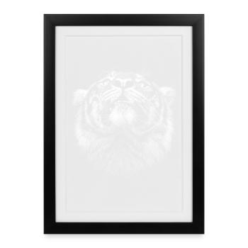 Tigre - Affiche encadrée (27 × 37 cm) - noir - Devant