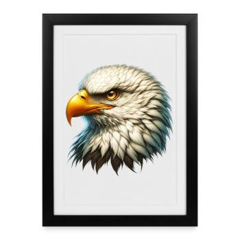 Aigle - Affiche encadrée (27 × 37 cm) - noir - Devant