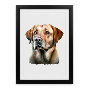 Portrait de Chien labrador retriever - Affiche encadrée (27 × 37 cm) - noir - Devant