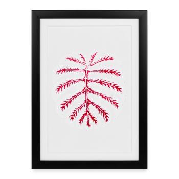 Monstera Leaf Red – Tropical Plant Motif - Framed poster (27 × 37 cm) - black - Front