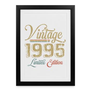 Millésime 1995 Édition limitée Naissance Année 1995 - Affiche encadrée (27 × 37 cm) - noir - Devant