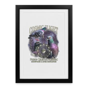 Cosmic Pigeon - Framed poster (27 × 37 cm) - black - Front