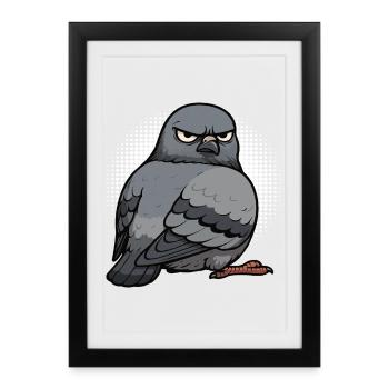 Pigeon pigeons pigeon fancier pigeon fancier - Framed poster (27 × 37 cm) - black - Front