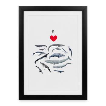 Les baleines aiment - J'adore les baleines - Baleines - Affiche encadrée (27 × 37 cm) - noir - Devant