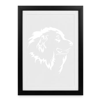 Pyrenean Mountain Dog Head "Black Edition" - Framed poster (27 × 37 cm) - black - Front