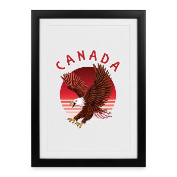 Canada Eagle - Framed poster (27 × 37 cm) - black - Front