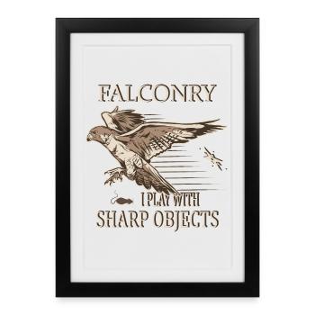 Falconer - Framed poster (27 × 37 cm) - black - Front
