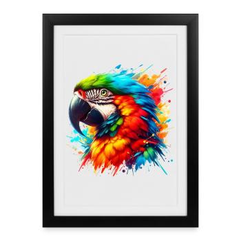Perroquet - Affiche encadrée (27 × 37 cm) - noir - Devant