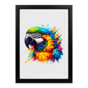 Perroquet - Affiche encadrée (27 × 37 cm) - noir - Devant