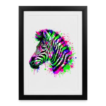 Zèbre - Affiche encadrée (27 × 37 cm) - noir - Devant