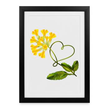 Primevère avec cœur – Motif d’amour - Affiche encadrée (27 × 37 cm) - noir - Devant