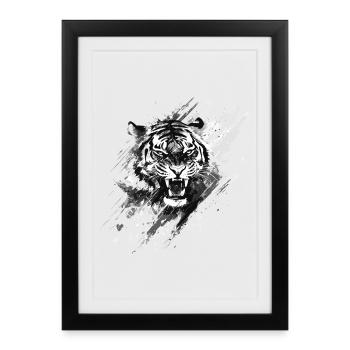 Tête de tigre Prédateur Nature Nature sauvage Splash - Affiche encadrée (27 × 37 cm) - noir - Devant