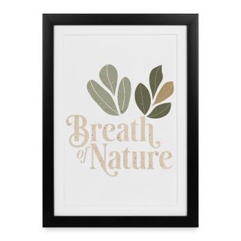 Vintage botanique - Affiche encadrée (27 × 37 cm) - noir - Devant