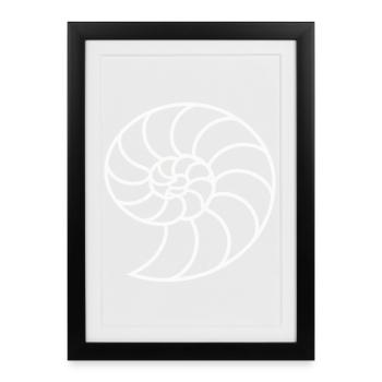 Spirale Nautile Blanche - Affiche encadrée (27 × 37 cm) - noir - Devant