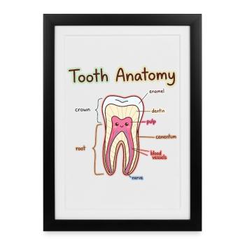 Dentiste assistant dentaire en anatomie dentaire - Affiche encadrée (27 × 37 cm) - noir - Devant