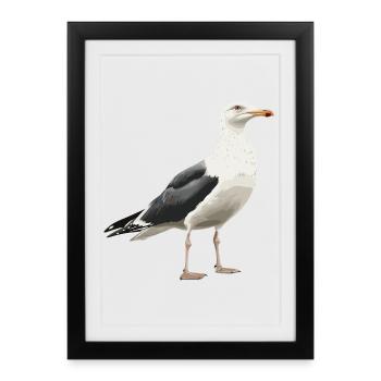 Illustration de mouette dans un style vintage - Affiche encadrée (27 × 37 cm) - noir - Devant