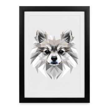 Pomeranian Pomeranian Pom Sweet German Spitz - Framed poster (27 × 37 cm) - black - Front