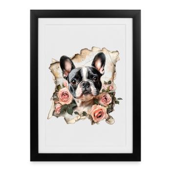 Bouledogue français - Affiche encadrée (27 × 37 cm) - noir - Devant